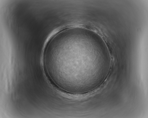 X0000115560006200911061603