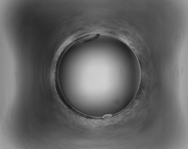 X0000115560007200911061603