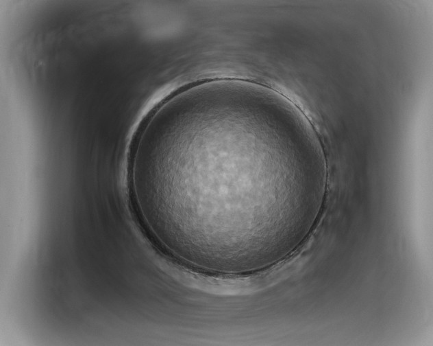X0000115560008200911061602