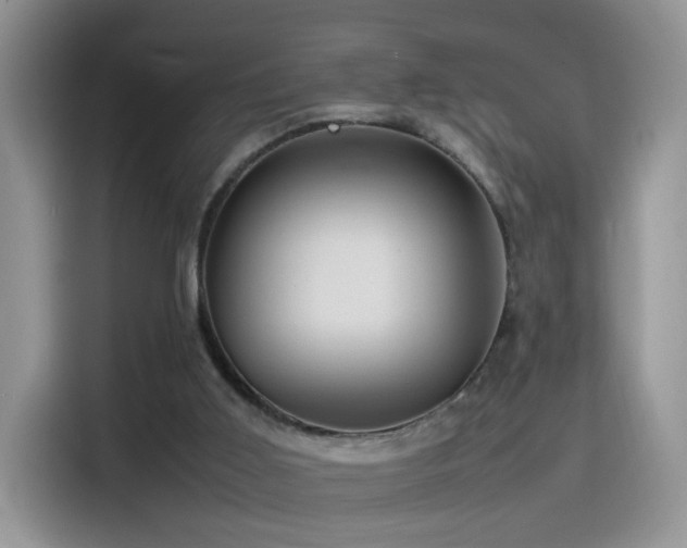 X0000115560011200911061602
