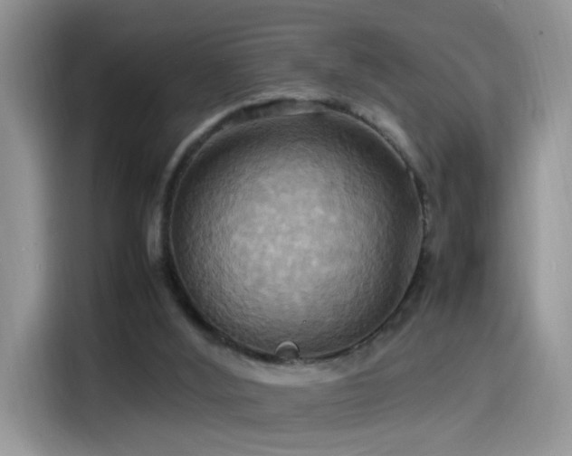 X0000115560012200911061602