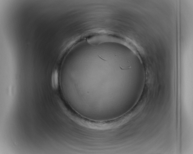 X0000115560014200911061602