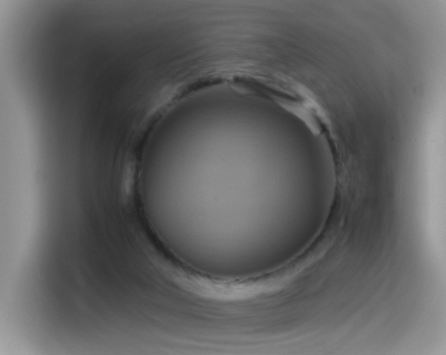 X0000115560018200911061602