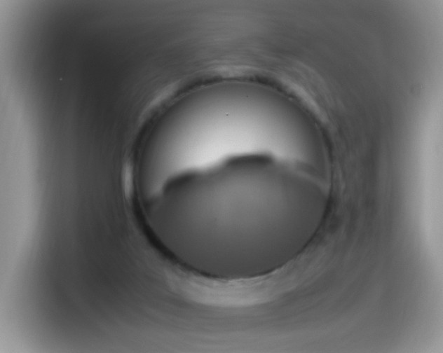 X0000115560019200911061602
