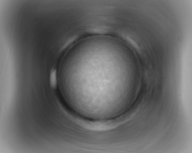 X0000115560020200911061602