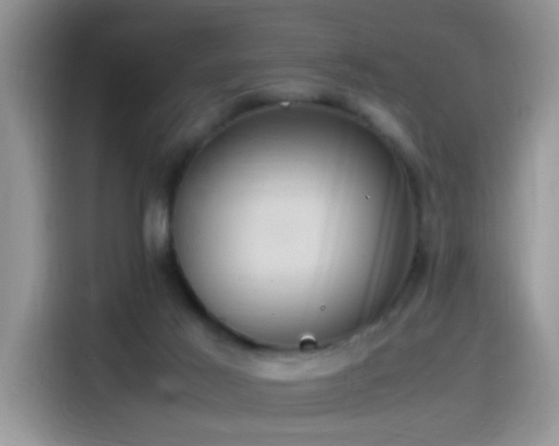 X0000115560021200911061602