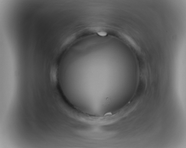 X0000115560023200911061602