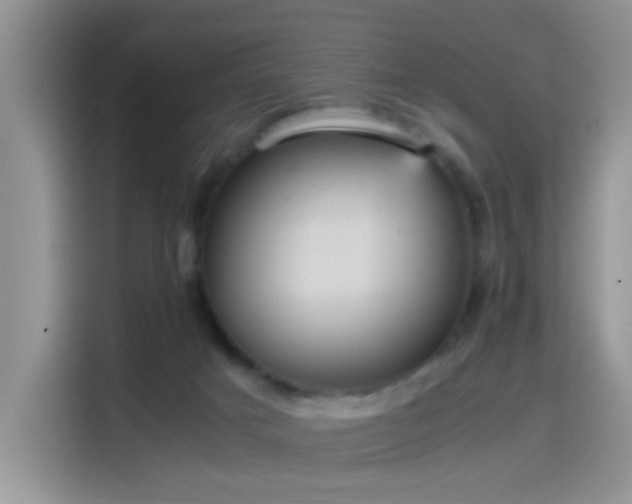 X0000115560025200911061602