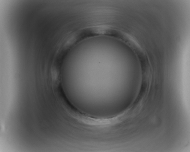 X0000115560031200911061602
