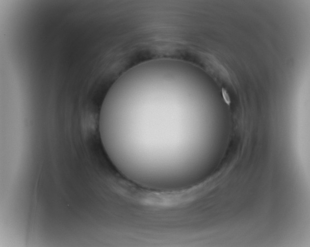 X0000115560033200911061602