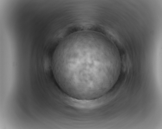 X0000115560034200911061602