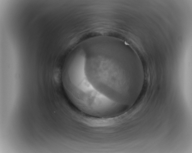 X0000115560036200911061602
