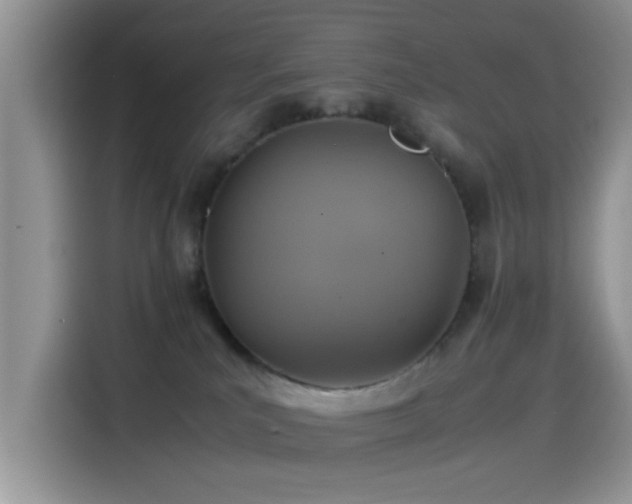 X0000115560039200911061602