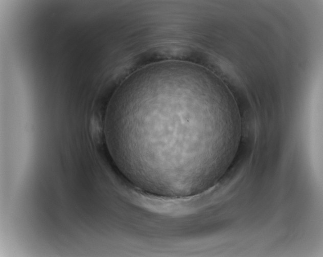 X0000115560040200911061602