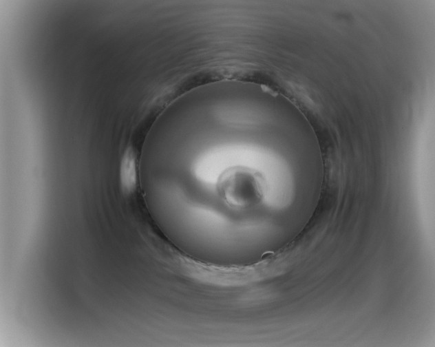 X0000115560042200911061602