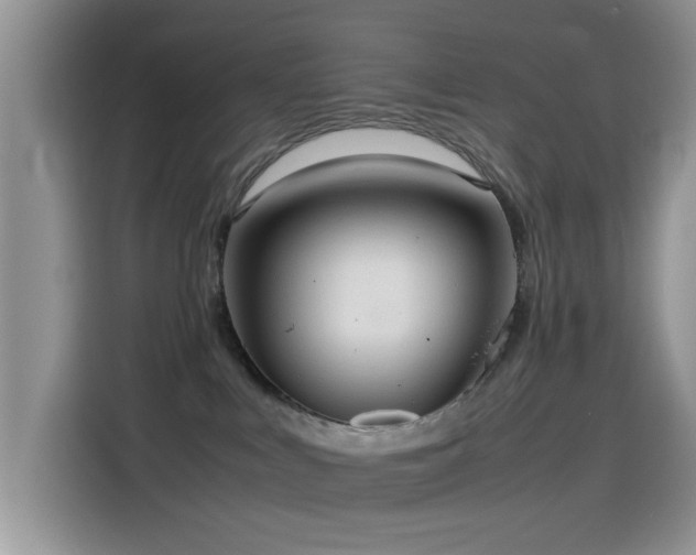 X0000115560043200911061602