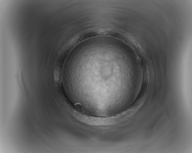 X0000115560044200911061602