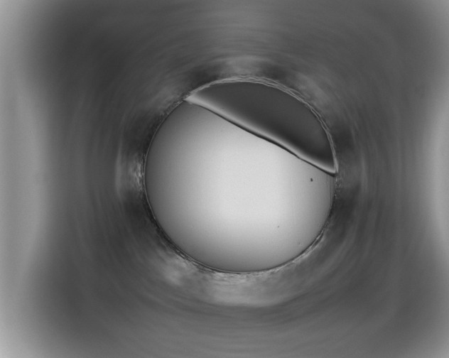 X0000115560045200911061602