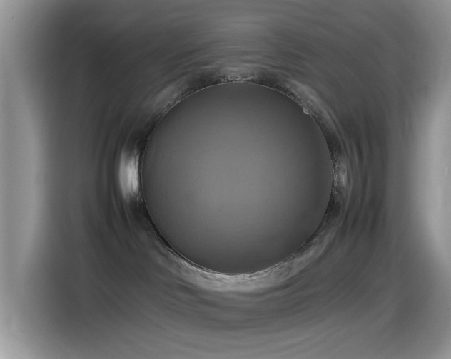 X0000115560046200911061602