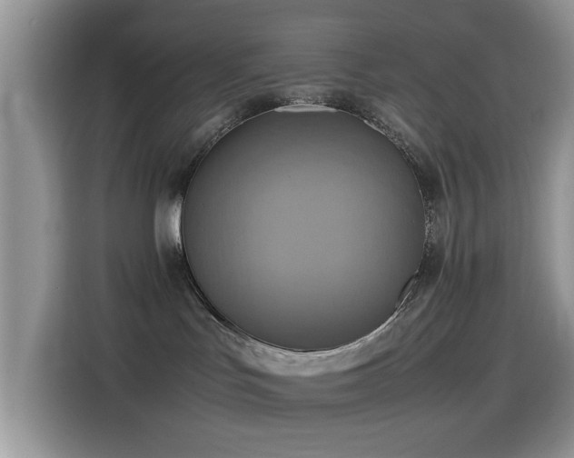 X0000115560047200911061602