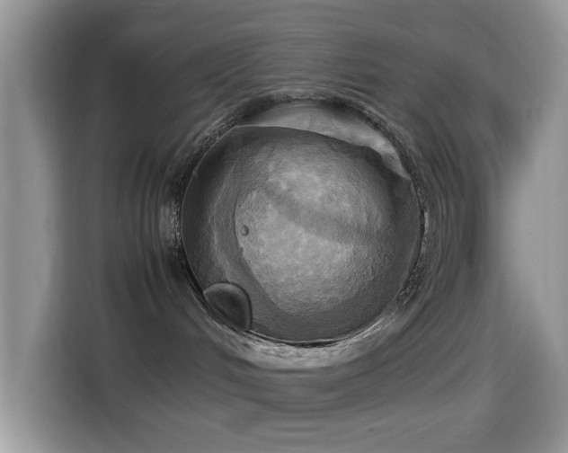 X0000115560048200911061602