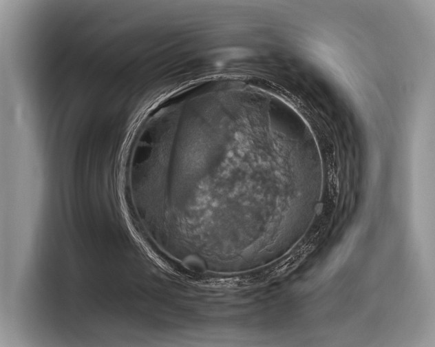 X0000115560049200911061601
