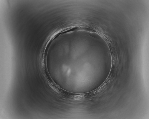 X0000115560050200911061601