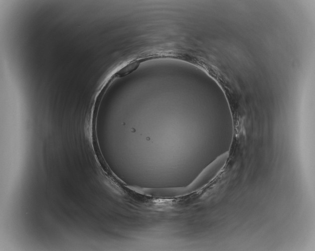X0000115560052200911061601