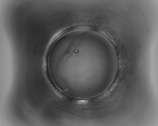 X0000115560053200911061601