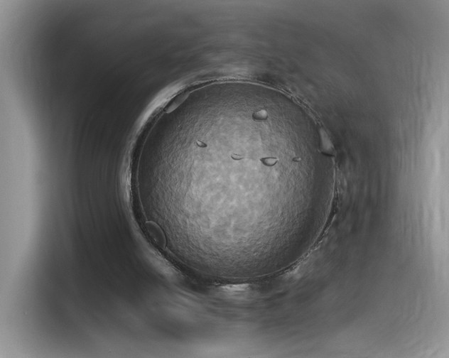 X0000115560054200911061601