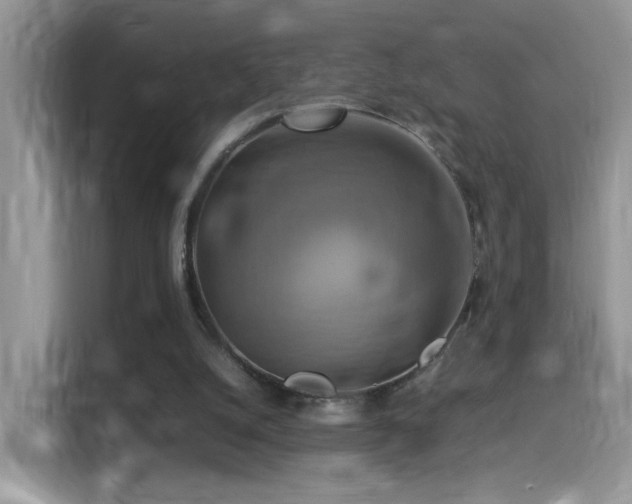 X0000115560056200911061601