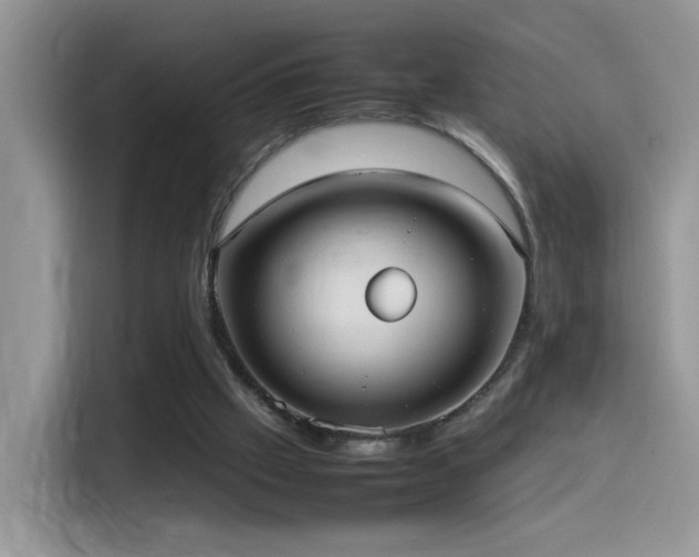 X0000115560057200911061601