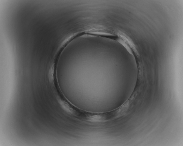 X0000115560058200911061601