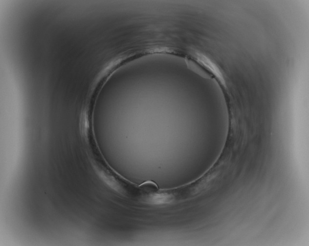 X0000115560059200911061601