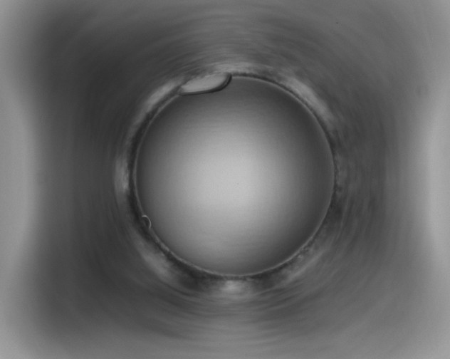 X0000115560060200911061601