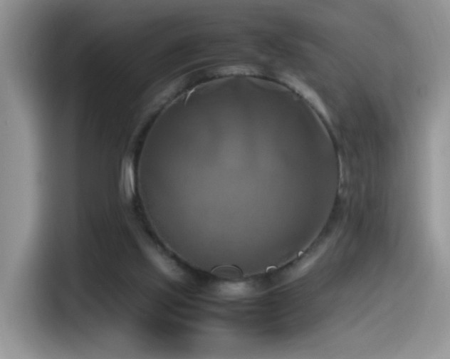 X0000115560061200911061601