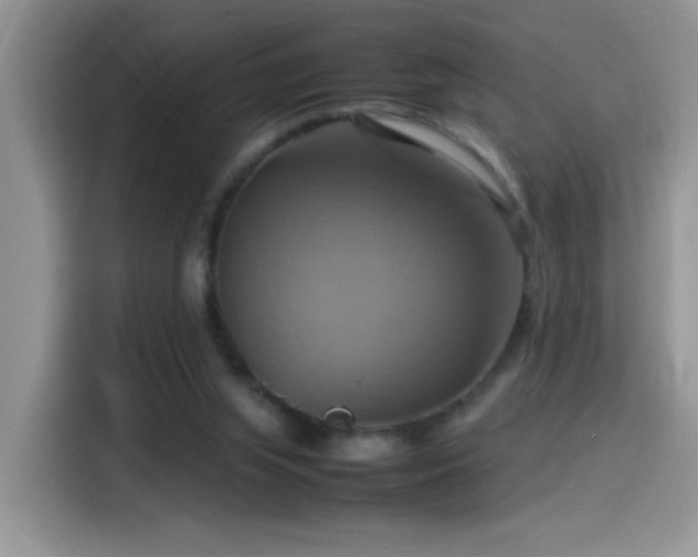 X0000115560063200911061601