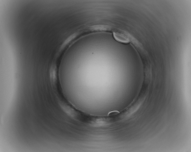X0000115560064200911061601