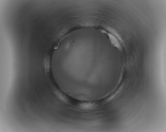 X0000115560065200911061601