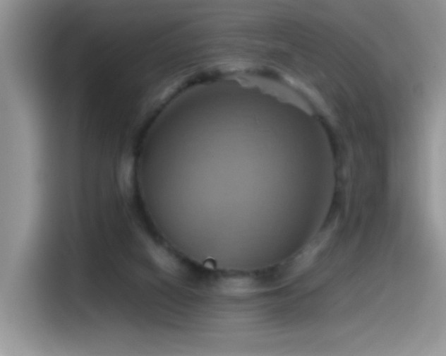 X0000115560066200911061601