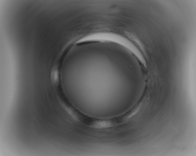 X0000115560067200911061601
