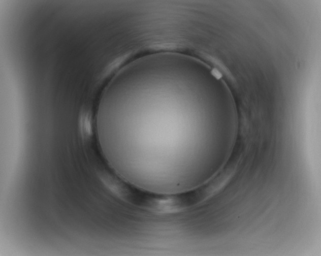X0000115560068200911061601