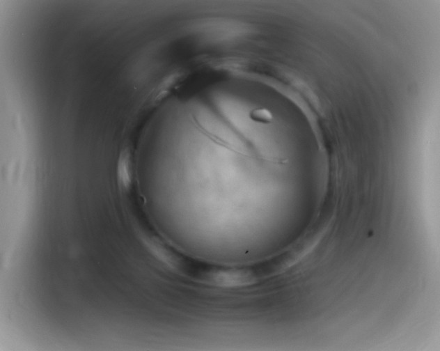 X0000115560069200911061601