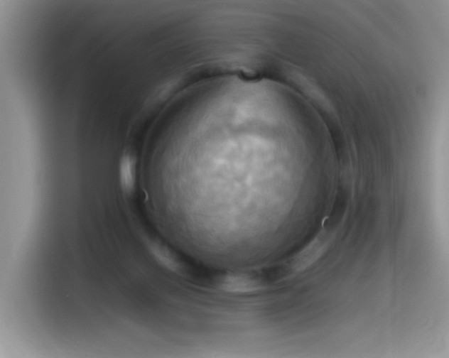 X0000115560070200911061601
