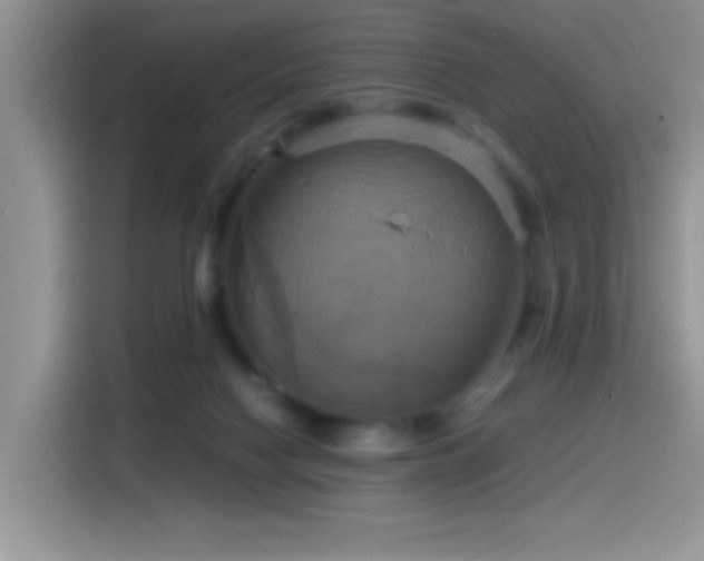 X0000115560074200911061601