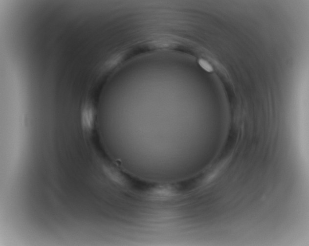 X0000115560076200911061601