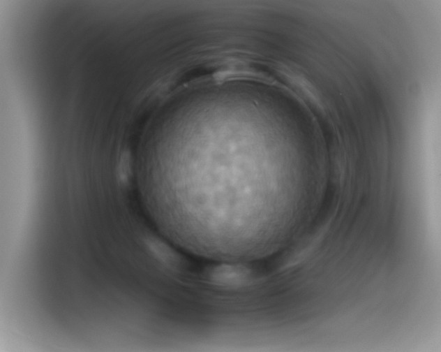 X0000115560077200911061601