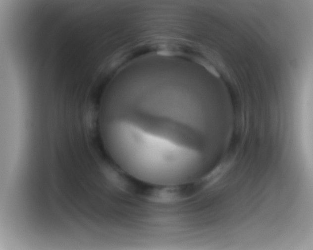 X0000115560078200911061601