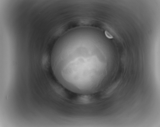 X0000115560079200911061602