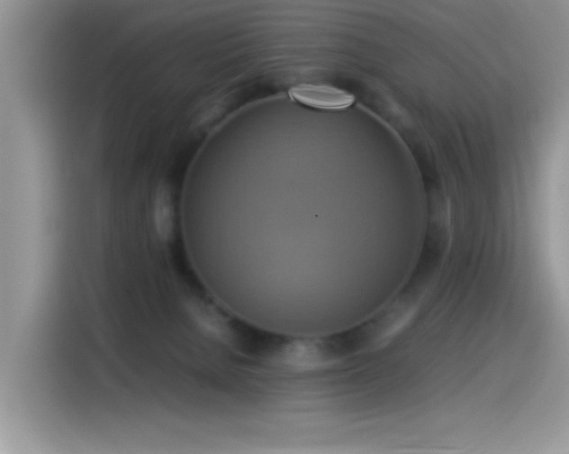 X0000115560080200911061602